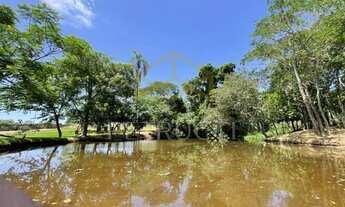 Imagem 2: Terreno - Cambuí - Campinas