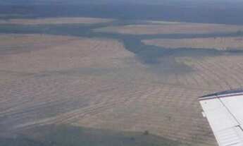 Imagem 2: FAZENDA DE SOJA 44.000 HECTARES 17.000 EM PLANTIO