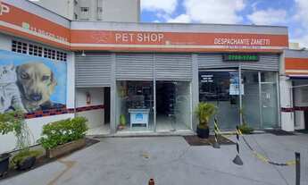 Imagem: LOJA - VILA LAGEADO - SP