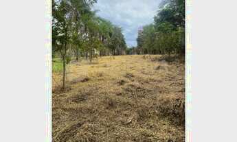 Imagem 2: Venda Rancho REPRESA DE MIRANDA
