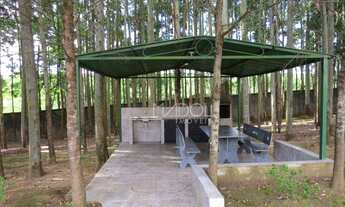 Imagem 4: Terreno Residencial à venda, Orfãs, Ponta Grossa -