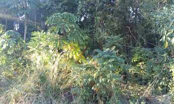 Imagem 3: Terreno - Recanto Campestre Internacional de Viracopos Gleba 6 - Indaiatuba