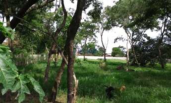 Imagem 3: Chácara - Estância Maria Alice Prolongamento