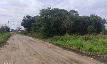 Imagem 6: Vendo lote na Praia do Ervino