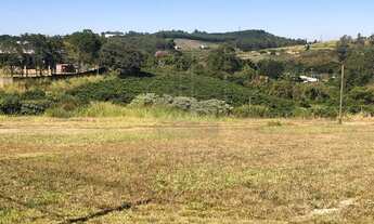 Imagem 3: Sítio - Macuco - Valinhos