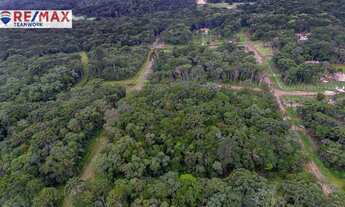 Imagem 2: Chácara à venda, 1000 m² por R$ 150.000 - Borda Do Campo - São José dos Pinhais/PR