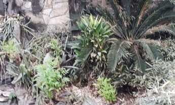 Imagem 6: Casa espaçosa na Vila Aricanduva próximo a estação do Metrô Vila Matilde