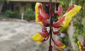 Imagem: Belo Horizonte - Casa Padrão - Camargos