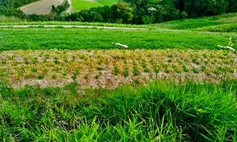 Imagem 16: Lote/Terreno para venda possui 600 metros quadrados em Jardim Bandeirantes - São Roque - S