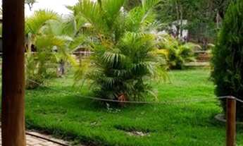 Imagem 5: Sítio para Venda em Fazendinha do Barão Santa Luzia-MG