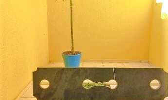 Imagem 3: Casa em Condomínio Fechado, 3 dormitórios (1 suíte) - CA 285