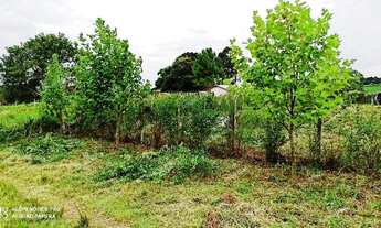 Imagem 3: Excelente Chácara Sem Benfeitorias