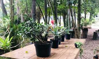 Imagem 4: Sítio à venda no bairro Torneiro - Jaguaruna/SC