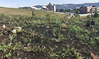 Imagem 6: TERRENO - ALPHAVILLE - SP