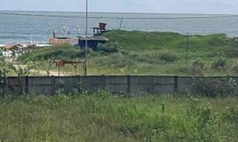 Imagem 4: Alugo Excelente casa na praia do Araçagy frente mar,no calçadão