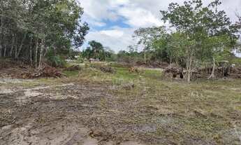 Imagem 4: LOTE/TERRENO BR 174 KM 10