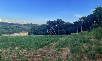 Imagem 5: TERRENO RS 324 - 1 HA