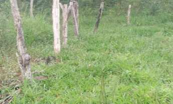 Imagem: Chácara a 15 KM de Brazlândia - DF na