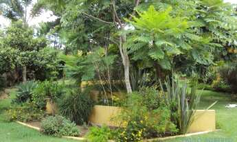 Imagem 2: CASA EM CONDOMÍNIO - ALPHAVILLE - SP