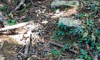 Imagem: Vendo chácara