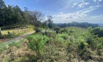 Imagem 2: BENTO GONçALVES - Terreno Padrão - Interior