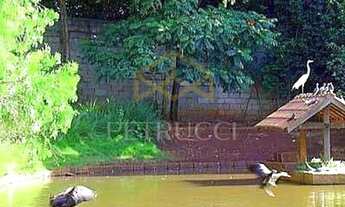 Imagem 6: Terreno - Vila Hollândia - Campinas