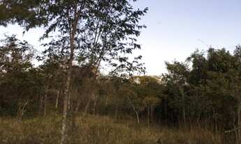 Imagem 3: Chácara em bela vista de goias