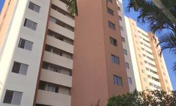 Imagem: Https //youtube.com/shorts/W7J2aCapn54