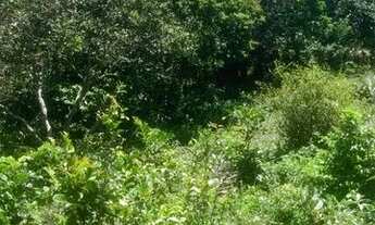 Imagem 3: Terreno Porto de Sauípe