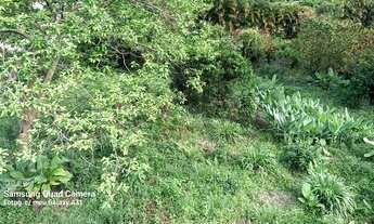 Imagem 5: Lote/Terreno para venda com 870 metros quadrados em Campo Grande - Rio de Janeiro - RJ