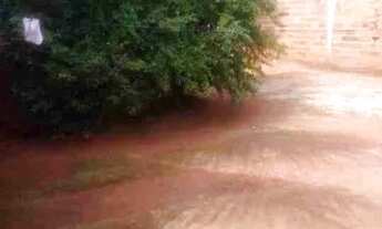 Imagem 4: Alugo casa ,St orlando morais