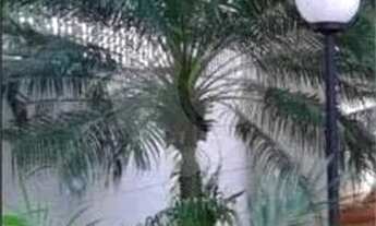 Imagem 7: Apartamento-São Paulo-PARQUE NOVO MUNDO