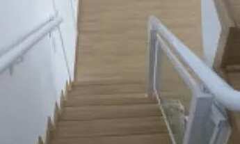 Imagem 7: APARTAMENTO - CAMPO BELO - SP