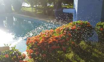 Imagem 5: CHÁCARA PARA QUEM QUER VIVER BEM!