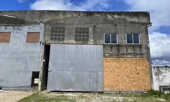 Imagem 3: Galpão Forquilhinhas 300 m2