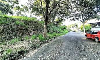 Imagem 2: Cód.: 11024 - Parque das Palmeiras