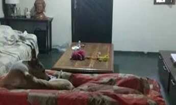 Imagem 7: 2 CASAS SOBREPOSTAS - COTIA - SP