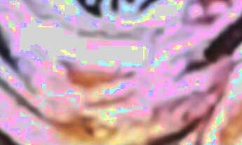 Imagem: Aluguel a 250m do Metrô Tijuca Saens Pena