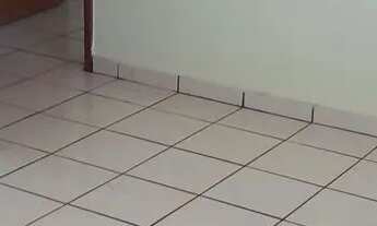 Imagem 2: Alugo Apartamento