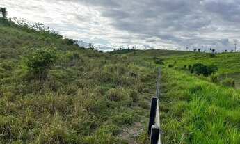 Imagem 2: Fazenda com 240 hectares em Alto Alegre / Roraima, região da Sumaúma, contendo 180 hectare