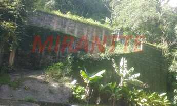 Imagem 5: Terreno em Centro