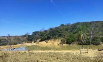 Imagem 5: Fazendinhas Guará, terrenos de 20.000 metros quadrados em Santana do Pirapama