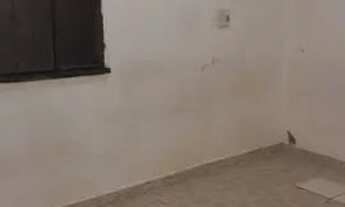 Imagem 4: Aluguel Casa Nova Esperança II