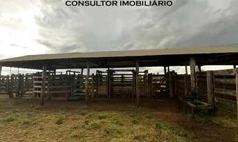 Imagem 7: Fazenda 105 Alqueires Região De Aparecida Do Taboado/MS