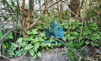 Imagem 5: Casa com 3 dormitórios à venda por R$ 650.000 - Bom Pastor - Juiz de Fora/MG