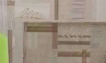 Imagem 6: Aluga Apartamento com 2 dormitórios