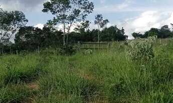 Imagem 5: Chácara 4 alqueires próximo a Anápolis