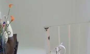 Imagem 4: Casa Condominio para Venda - 48.58m², 2 dormitórios, 1 vaga - Restinga