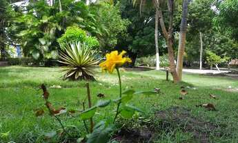 Imagem 2: CHÁCARA PARA QUEM QUER VIVER BEM!