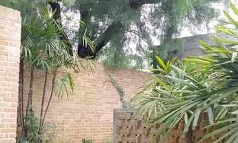 Imagem 7: Linda casa ajardinada em bairro nobre